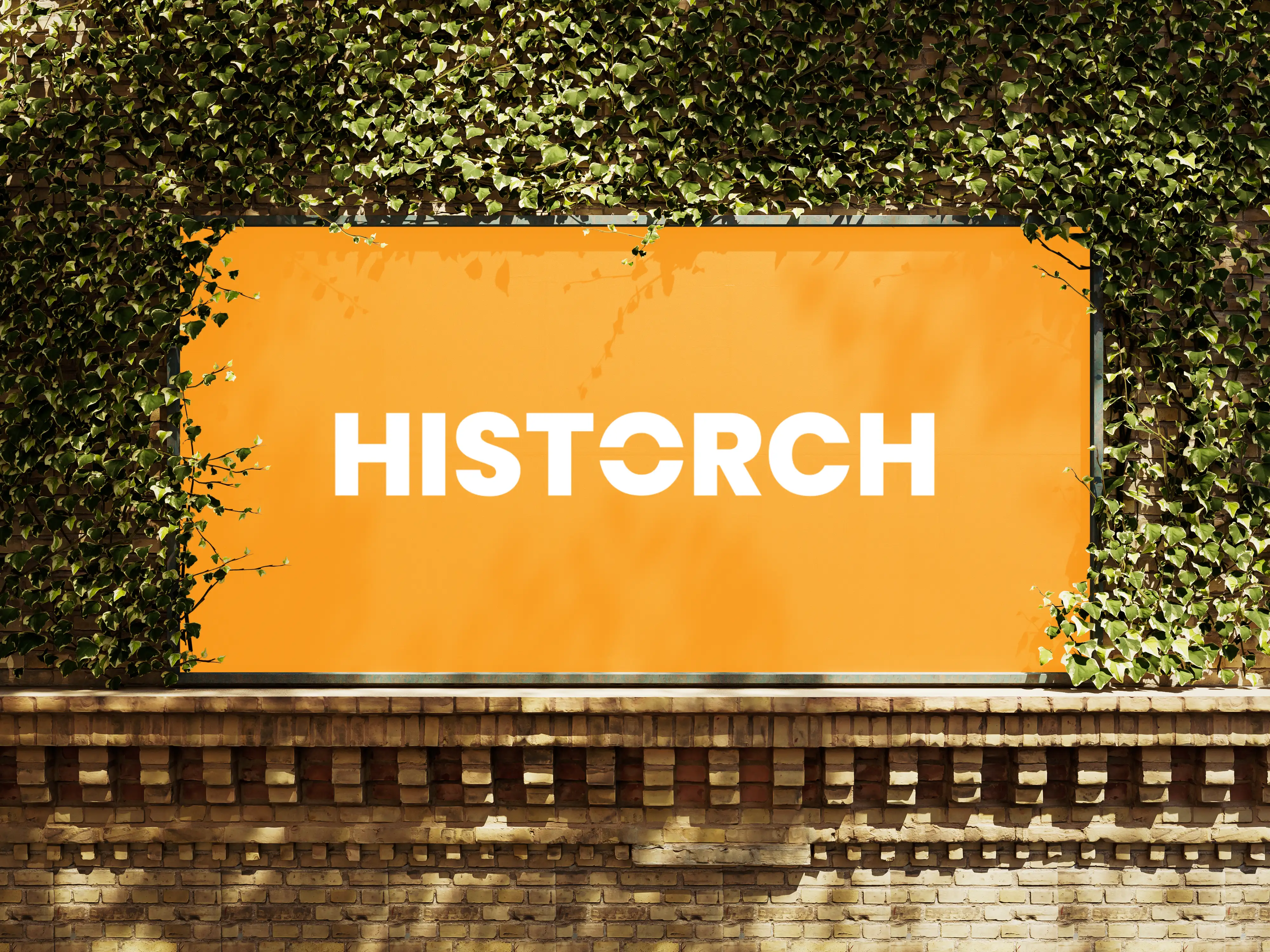 HISTORCH Dijital Reklam Ajansı